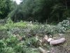 DSCF2629.JPG