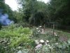 DSCF2631.JPG