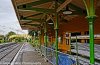 _DSR12409_DxO_2_01.JPG