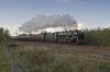 LRT 46115 1a.jpg