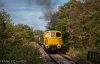 IMG_0040-0.jpg