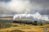 DSC_7621.jpg