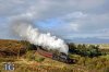 DSC_8039.jpg