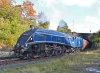 60007 LR.jpg