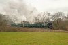 0-34072-11.15-Groombridge-at-Lealands-4Feb-2024.jpg