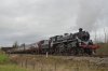 75014-10g.JPG