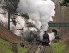005-57566+78019-Groombridge-Jct-13.30-Eridge-9Feb-2024.jpg