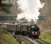 006-80078+34066-Groombridge-Jctn-14.20-Eridge-9Feb-2024.jpg