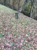 IMG_4121.jpeg