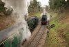 007-Groombridge-loop-34072-12.40-TWW-crosses-78018-80078-12.40-Eridge-10Feb-2024.jpg