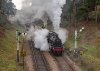 008-78018-80078-12.40-Eridge-restart-Groombridge-loop-10Feb-2024.jpg