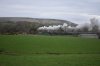 DSC_0868r.jpg