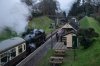 003-80078-arr-Groombridge-16.50-TWW-as-78019-waits-on 16.50-Eridge-17Feb-2024.jpg