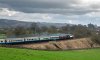 _DSC3651-Edit.jpg