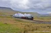 _DSC6003.JPG