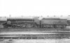 UA3 499 - S15 class - Nine Elms Loco. Copy 2.jpg