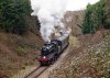 053-78019-departs-High-Rocks-12.05-Eridge-25Feb-2024.jpg