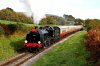 the_dorsetman_sunday_25th_october_2015_andrew_pm_wright_8-image(767x511-crop-autorotate).jpg