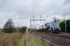 _24Z0295 60007 Heamies 010324.jpg
