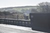 DSC_1006rs.jpg