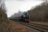 DSC00677.jpg