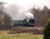 019-34072-approaching-Forge-Farm-Xing-14.45-Eridge-10Mar-2024.jpg