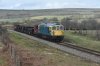 DSC_1063r.jpg