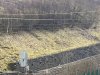 IMG_4032.jpeg