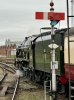 IMG_1730.jpeg