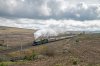 GWR 5043 Shap .jpg