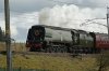 DSC05232.jpg