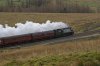 DSC05273.jpg