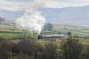 5043-(19)-Shap-Wells-fbook.jpg