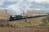 5043-(56)-Shap-Wells-fbook.jpg