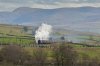 Tangmere-(15)-Shap-Wells-fbook.jpg