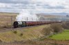 Tangmere-(32)-Shap-Wells-fbook.jpg