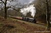 _DSC6375.JPG