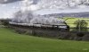 Northern Belle 7 1 NP.jpg