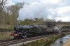 4079-15d.JPG