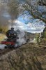 4079-19g.JPG