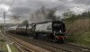 Northern Belle 8 1 NP.jpg