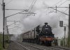 _MG_3724-Edit.jpg