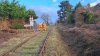 IMG_0672.jpeg