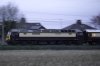 _MG_3803-Edit-Edit.jpg