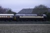 _MG_3815-Edit-Edit.jpg