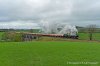 DSC_7287.JPG