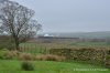 DSC_7315.JPG