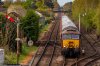 EOS 5D Mark IV_240420_6400.jpg