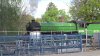 Mayflower Horsham 2.jpg
