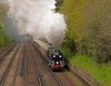 003-35028-Blackbrook-Bridge-22Apriil-2024.jpg